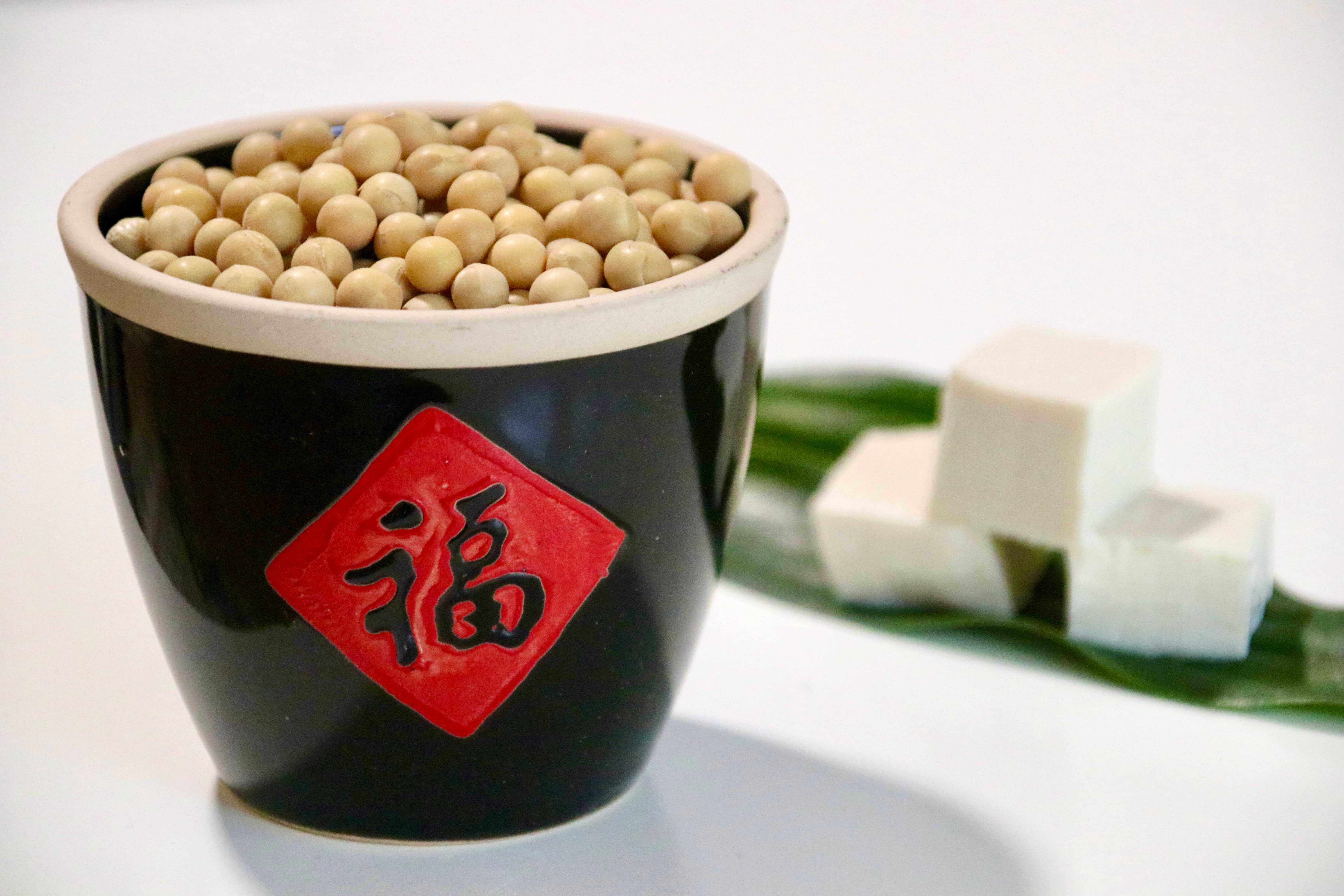 5 Easy To Make Chinese Tofu Recipes for Beginners